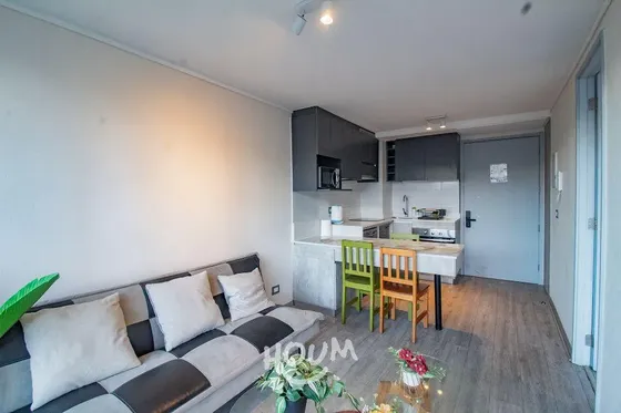 Departamento Manuel Antonio Tocornal Id: 172105