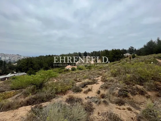 Reñaca, Los Almendros. Terreno Con Excelente Conectividad.