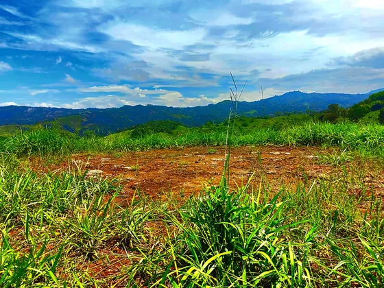Hermoso Terreno De Oportunidad Cerca De Tabarcia De Mora