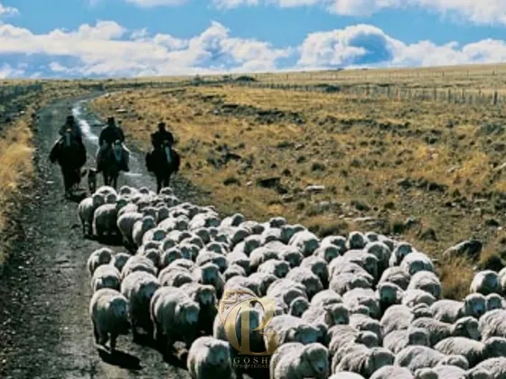 Tierra Agricola Y Turistica| Ruta 9 Norte, Villa Renoval
