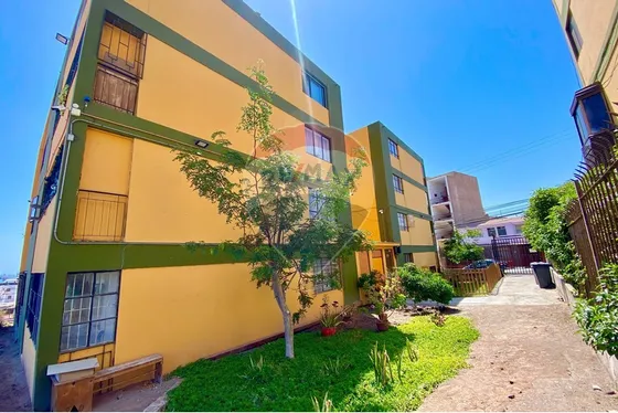 Departamento 3 Dormitorios Sector Sur
