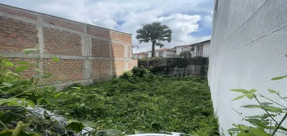 Lote En Venta En Zona Norte/armenia  (279062406).