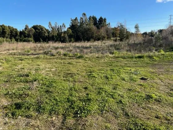 Terreno Construccion En Venta En Valdivia