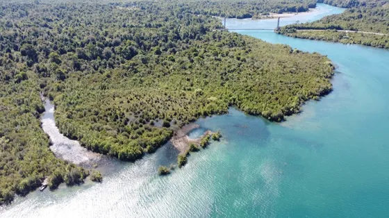 Venta Exclusiva Propiedad  38 Hectáreas Orilla Lago Yelcho