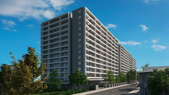 Sinergía Vicuña Edificio C