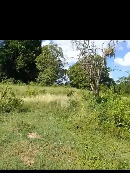 Terreno En Oportunidad En El Naranjal, Aut.. Sto Dgo Samaná 
