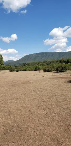 Terreno En Venta, Curicó (07).