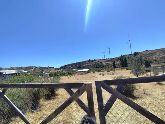 Se Vende Parcela 5.000 M2 Con Rol Propio. Litueche