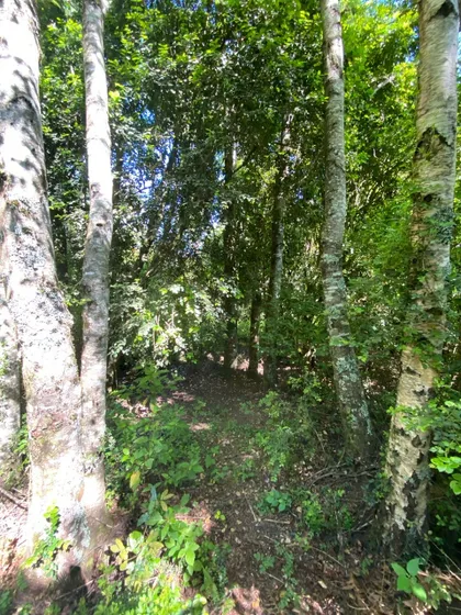 Terreno De 10,974 M² A La Venta Cerca De Pucón