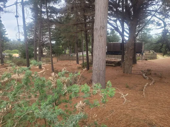 Sitio En Venta En Pichilemu