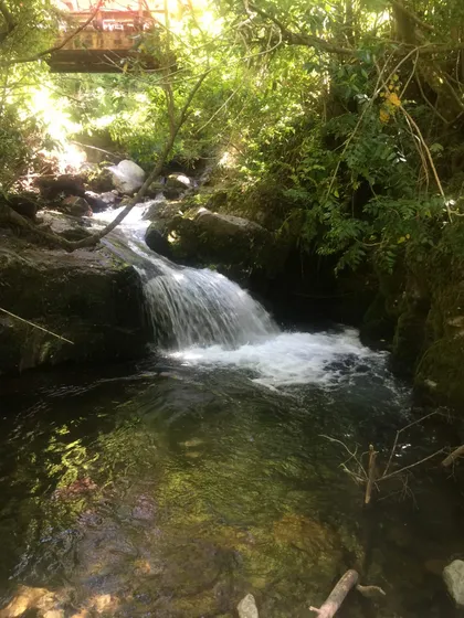 Hermoso Terreno Con Cascada