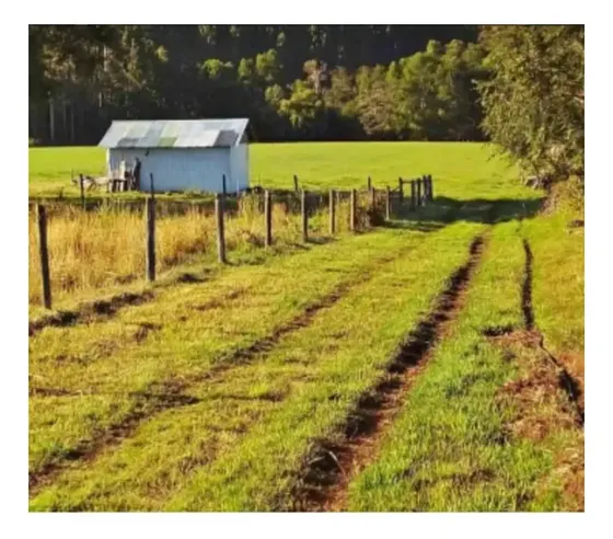 Vende Terreno En Sector Campo Peter, Pitrufquén.