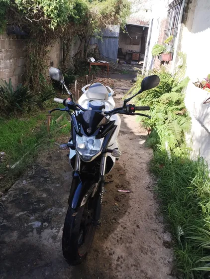 Fz 2.0 2017titular Al Día.