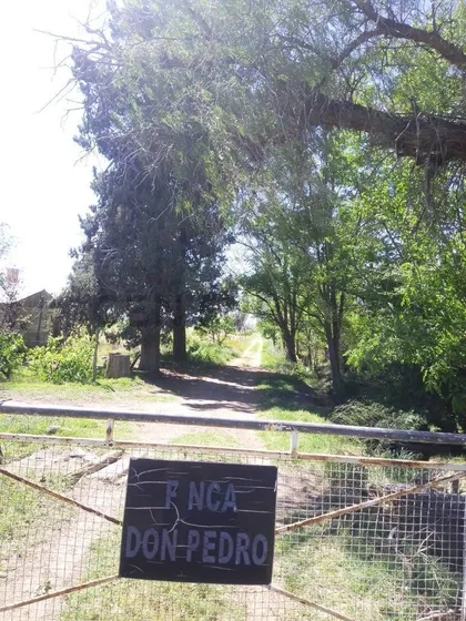 Century21lopez Vende Finca En San Rafael