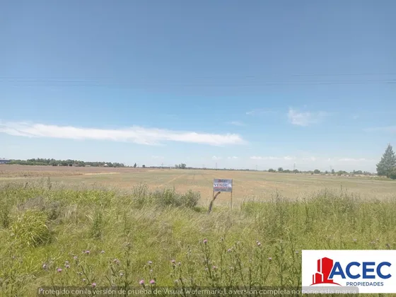 Venta - Campo- Alvear