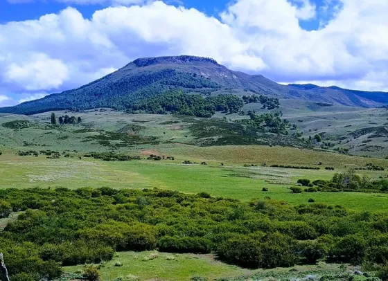 Agrícola En Venta En Lonquimay