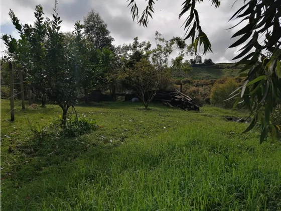 Lote En Venta El Sector La Floresta San Vicente