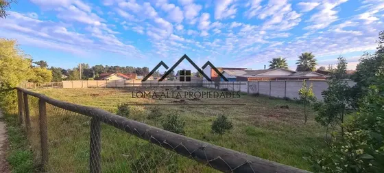 Terreno 1180 M2 Ubicado En Algarrobo