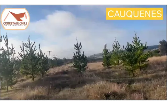 Venta Terreno 5000 Mts2 En Cauquenes Con Rol Propio