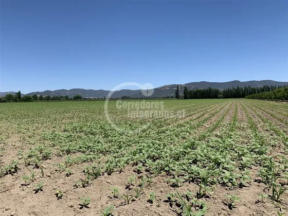 Atractiva Parcela En San Vicente