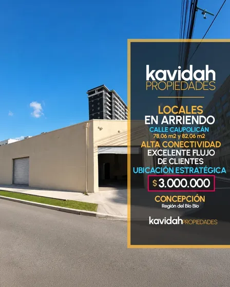 Locales Comerciales En Arriendo En Concepción
