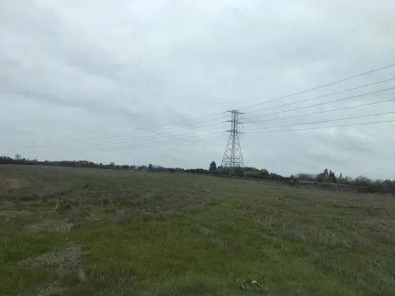 Venta De Campo En Mulchén Id 53.207-cam