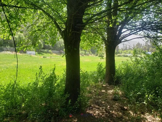 Sitio En Venta En San José De Maipo