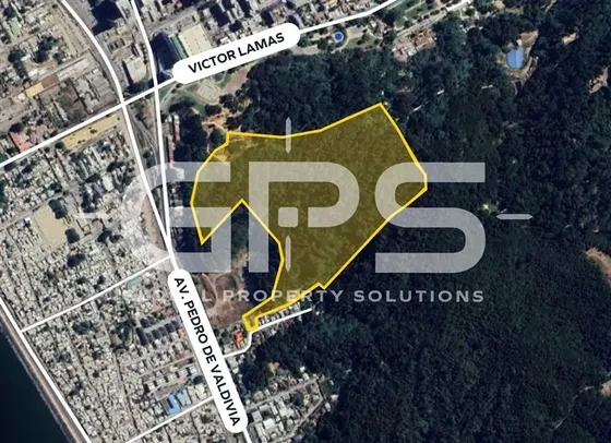 Venta Av. Pedro De Valdivia / Victor Lamas