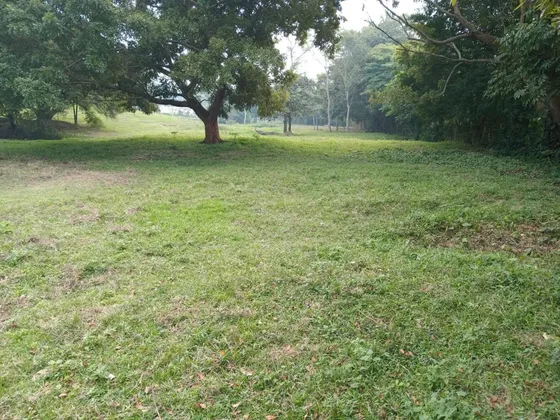 Terreno En Venta Dos Montes Bajío