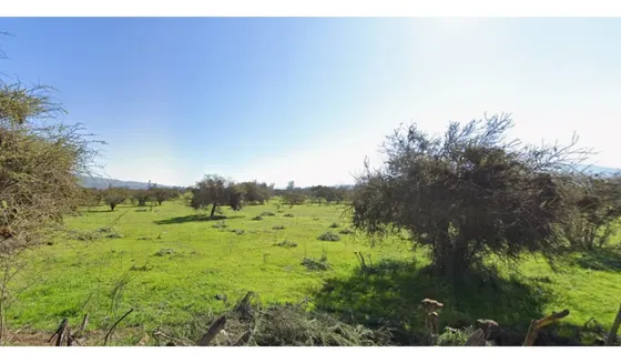 I. Holzapfel #1179 | Parcela Agrícola De 7 Ha Casablanca