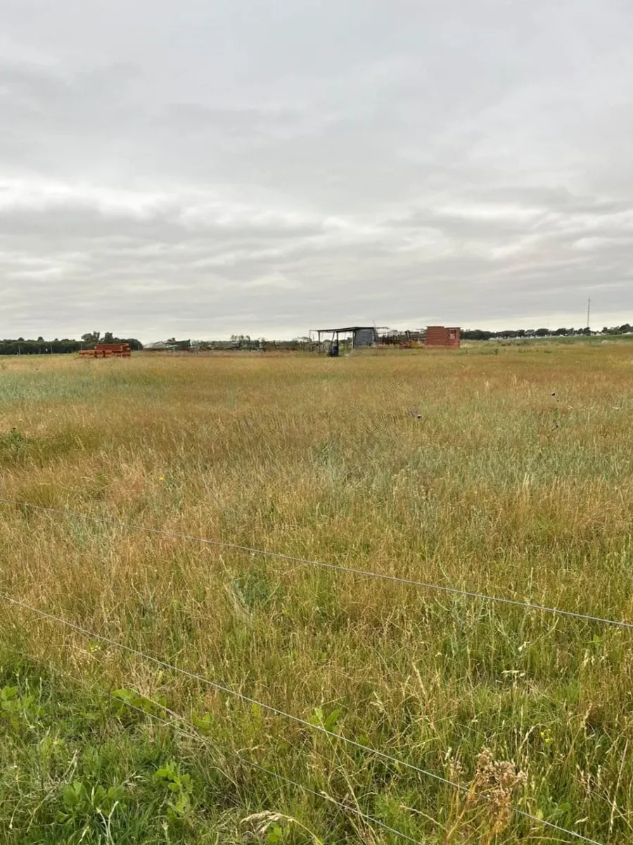 Land Plot in Chacra 7, Parcel 7 - Macachín