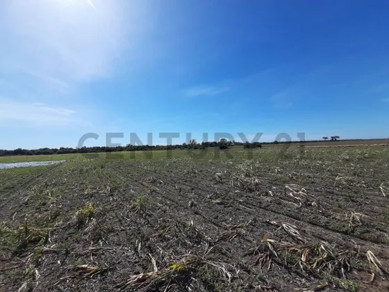Campo En Venta En Suardi