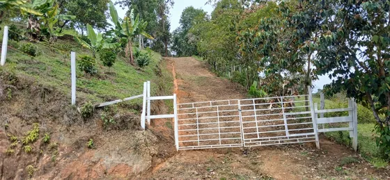 Se Vende Finca- Mirador En Silvania