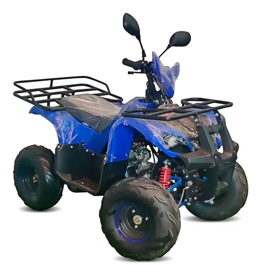 Cuatrimoto 125cc Para Niños 