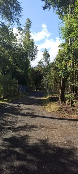 Parcela A 5km De Pucon