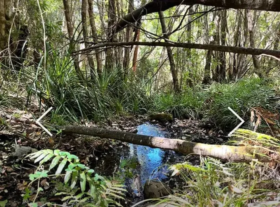 Naturaleza Y Tranquilidad En Un Solo Lugar (169118)