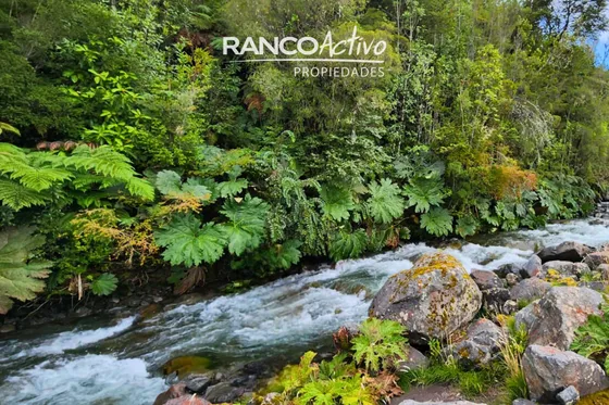 Preciosa Parcela A Orilla De Rio En Venta En Puerto Varas