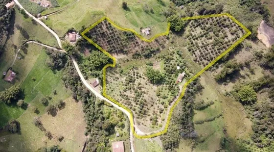 Venta De Finca Aguacatera En Marinilla Antioquia
