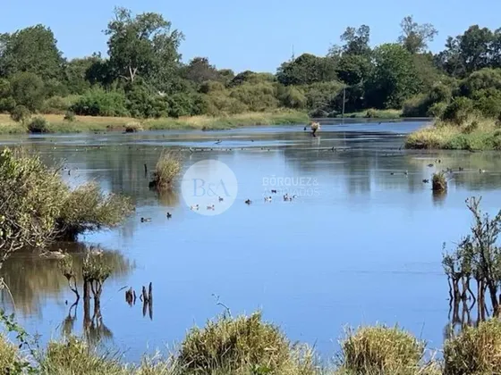 23094 - Excelente Campo Con Agua