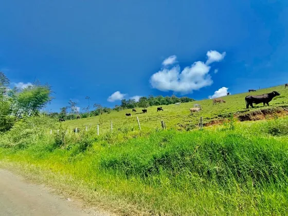 Restrepo, 6,5 Plazas, Lote En Venta.