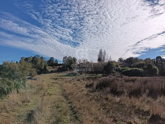 Bosque Nativo Y Acceso A Humedal L Maullín