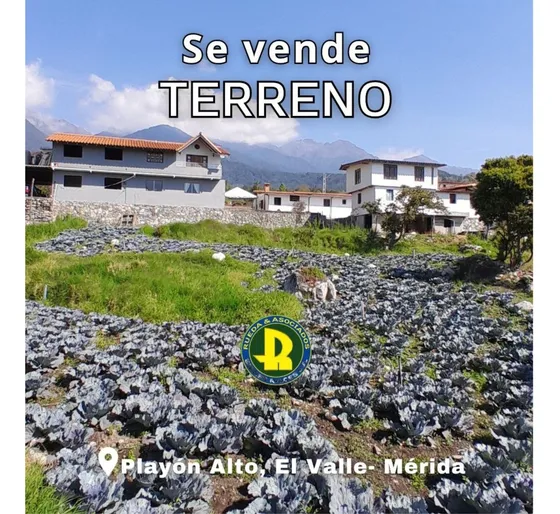 En Venta Terreno En El Playon Alto El Valle Mérida Venezuela