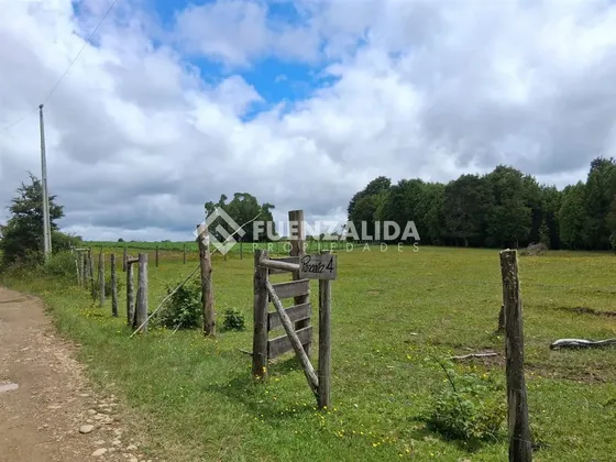 Sitio En Venta En Los Muermos, App