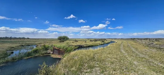 Venta Campo 525 Hectareas Sarmiento - Financiacion