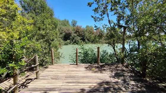 Vende Terreno De 3.228 M2 Con Orilla De Lago Colbun