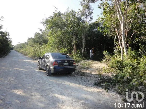 Venta Terreno 0 Ambiente Akumal