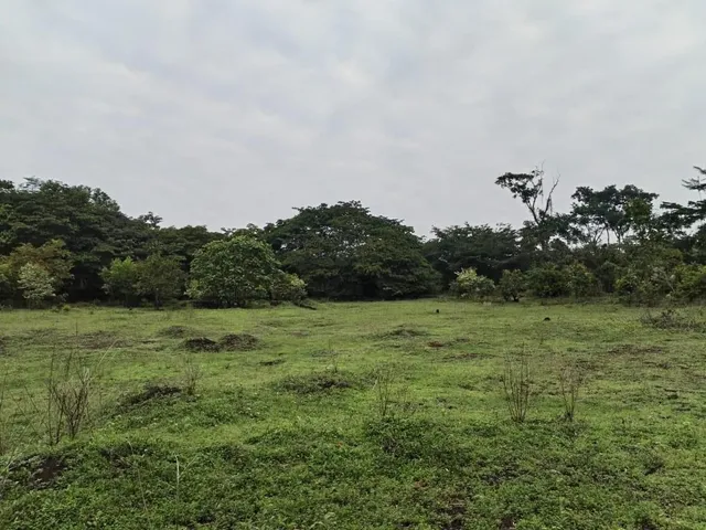 Finca De 1 Caballeria