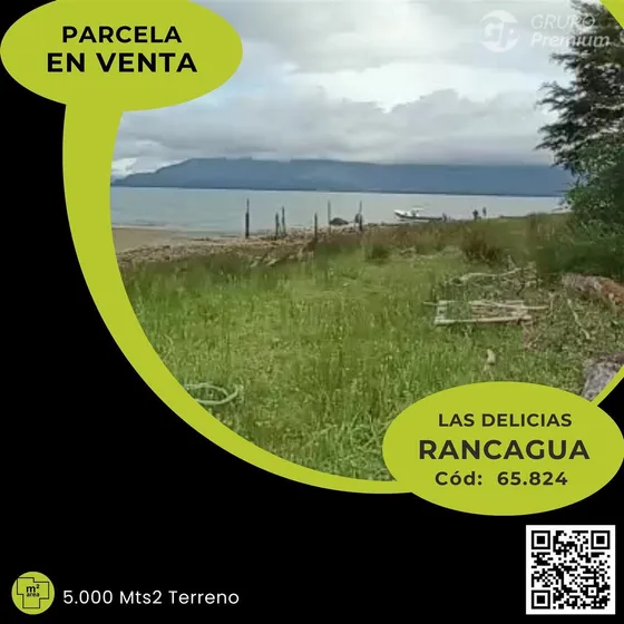 A65824 - Venta Parcelas Agricolas 10 Min Rancagua - 5000mts2