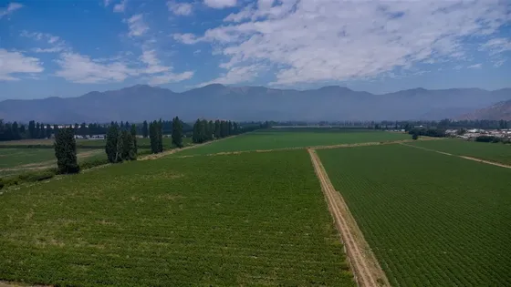 Agrícola En Venta En Rancagua