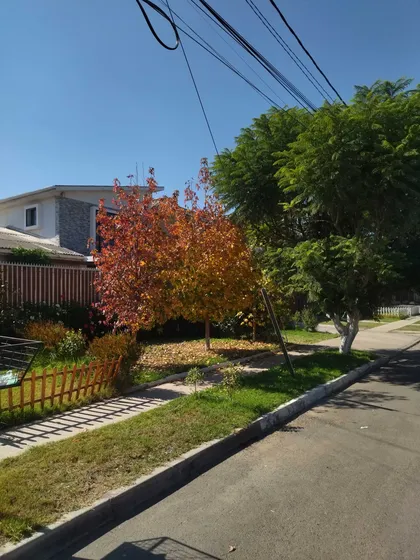 Hogar Familiar Con Gran Luminosidad (160360)
